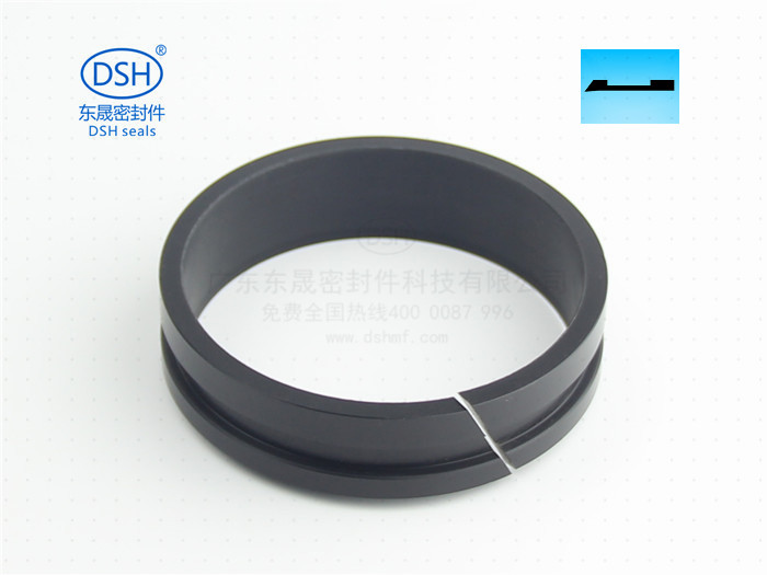 軸用帶刮唇導向環(huán)DFAI 導向套 (1)